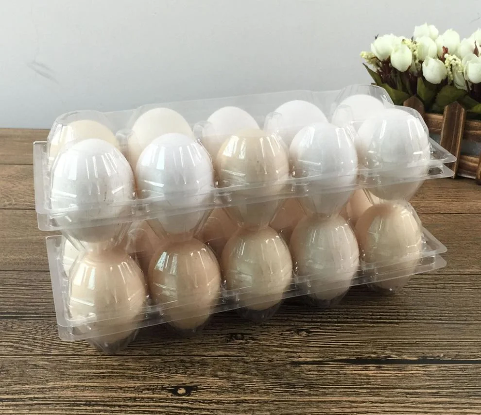 Factory Price Disposable Plastic Container Egg Box