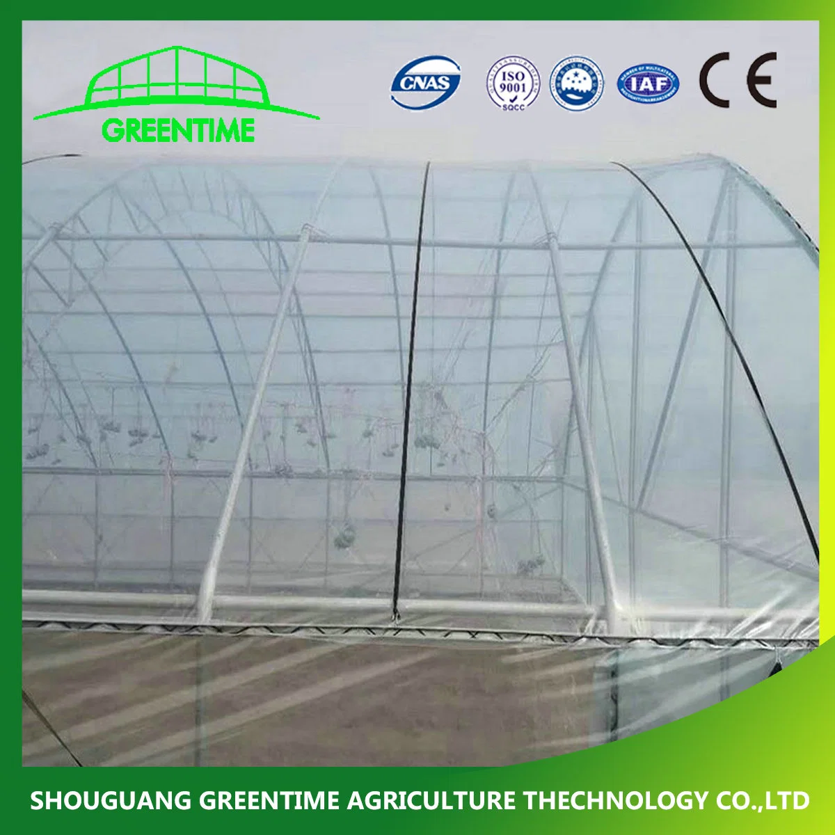 More Than 5 Years Life Anti-Dripping Agricultural Greenhouse Po Film