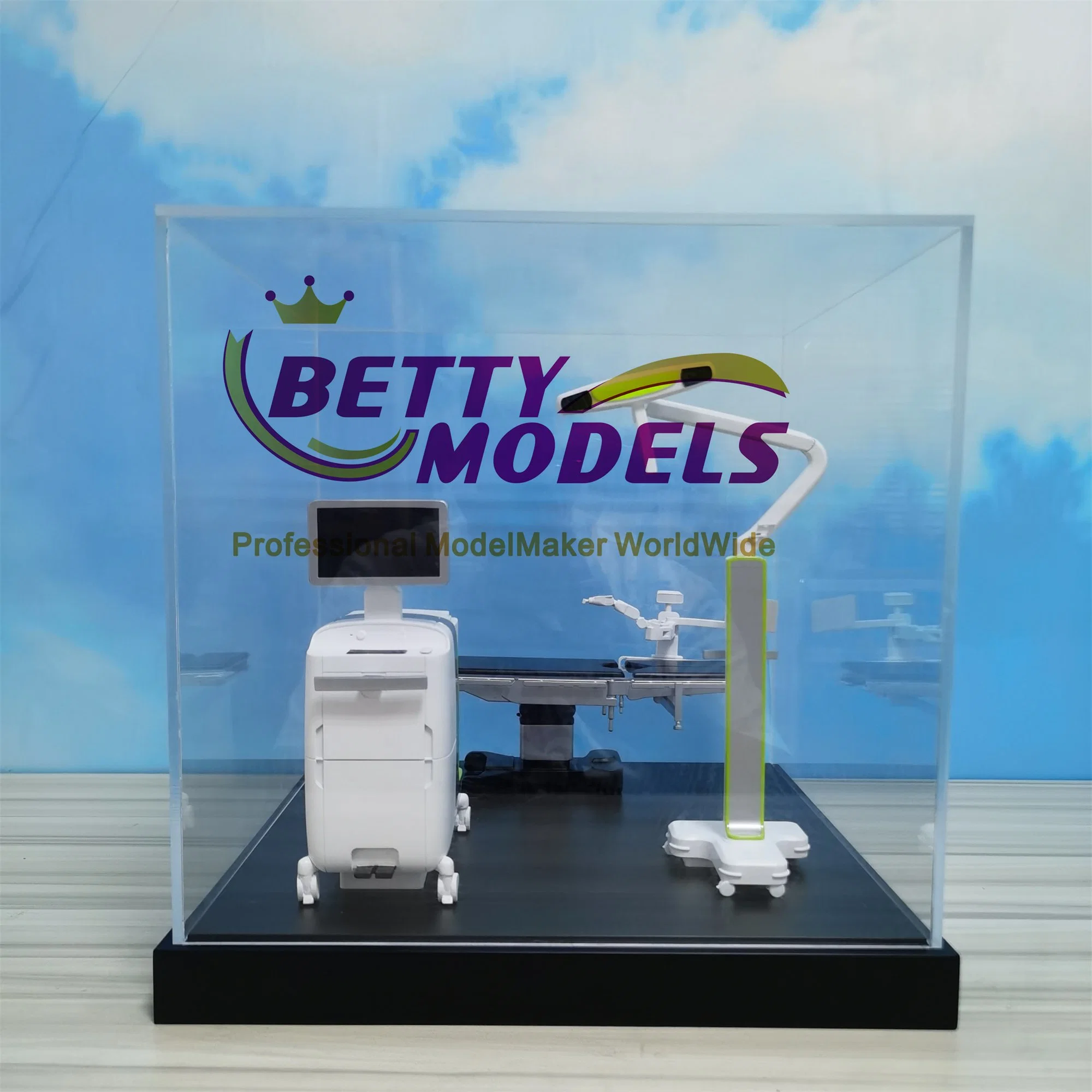 Perfect Medical Teaching Model with Customized Scale and Colour