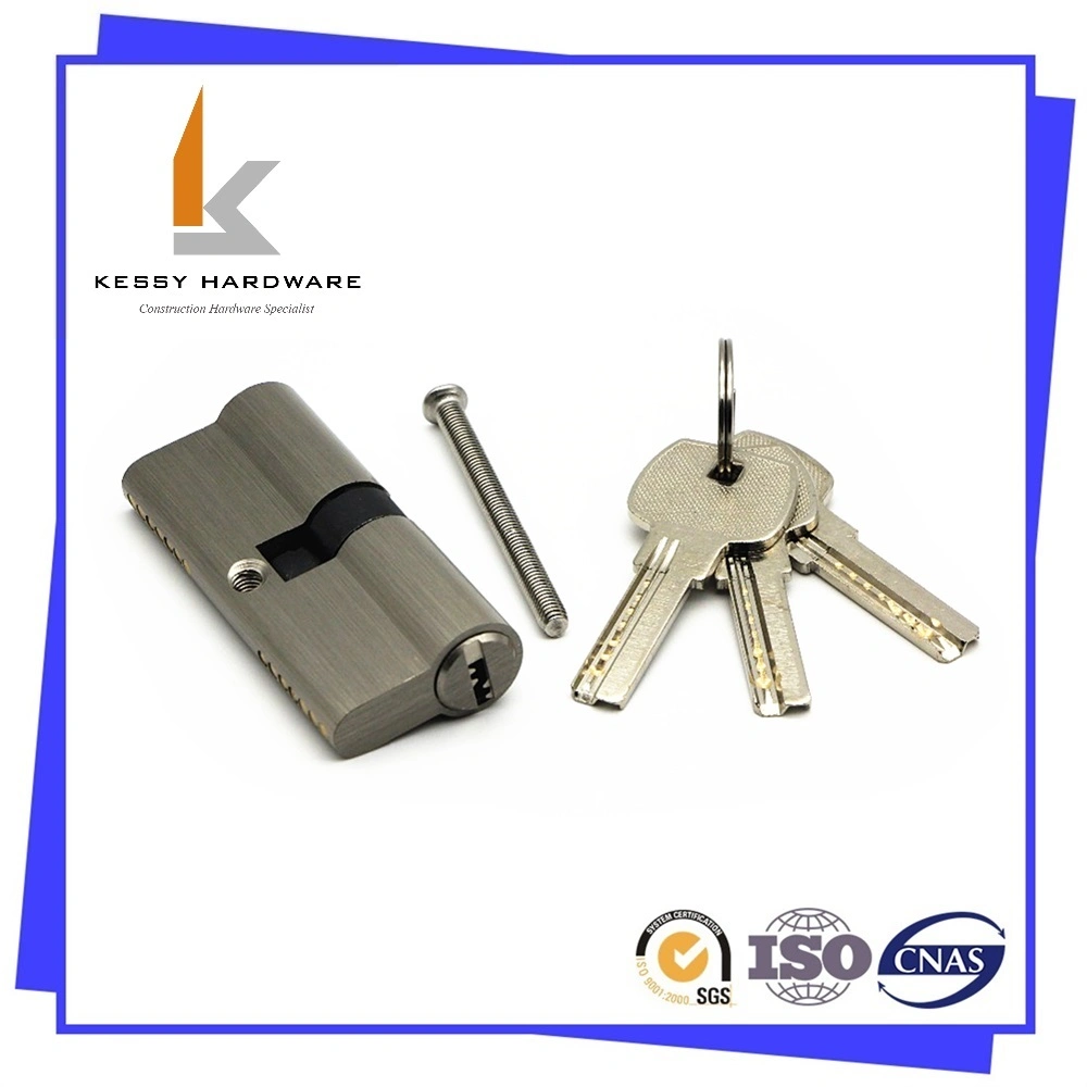 High quality/High cost performance  Cylinder with Computer Key High Strength Security Door Hardware Sx60A