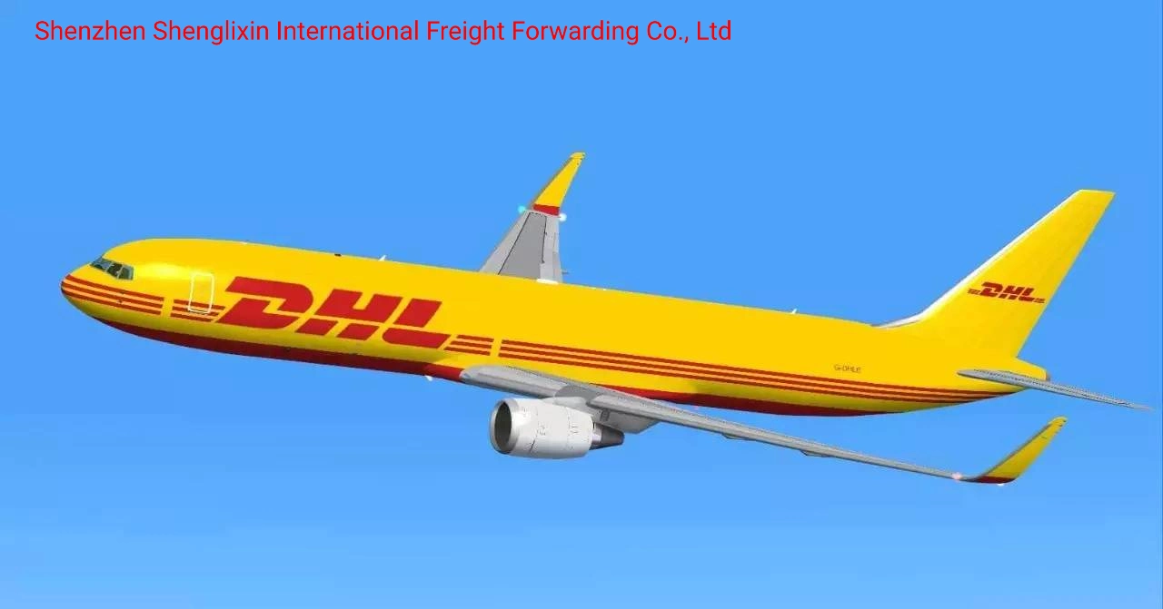 Ultra Bajo DHL Freight, Enviado a Estados Unidos, Canadá, México, Europa, Sudeste Asiático, Emiratos Árabes Unidos, América del Sur y Países Africanos