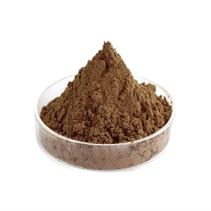 Natural Organic Mane Mushroom Extract Powder Feed Material Food Additives