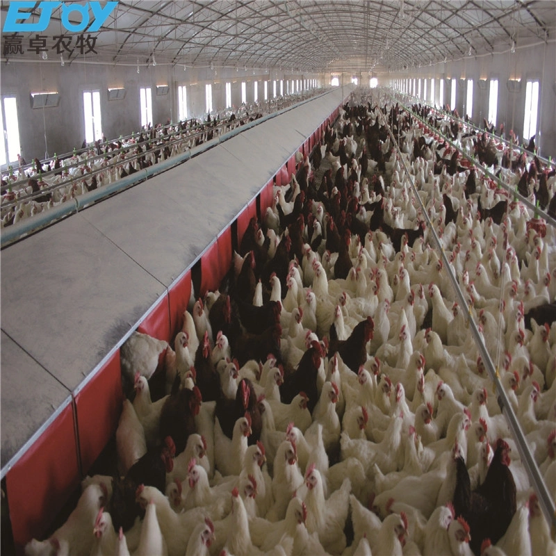 Poultry House Poultry Equipment Broiler Feeding Pan Floor Raising System