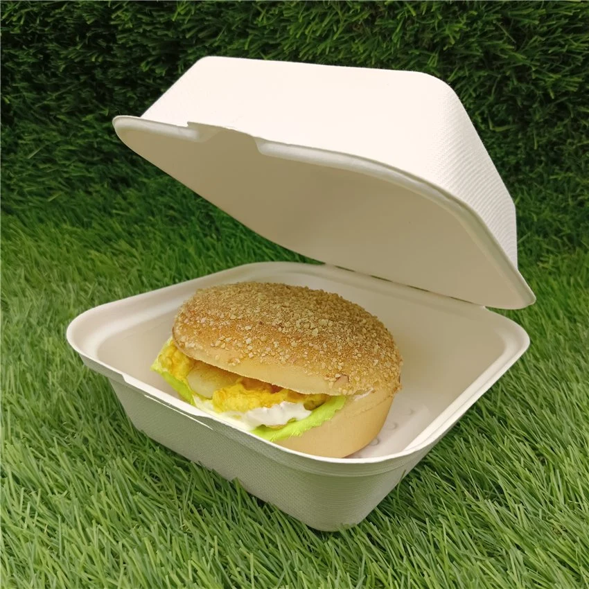 Single Compartment Clamshell Takeout Box Made From Eco-Friendly Plant Fibers