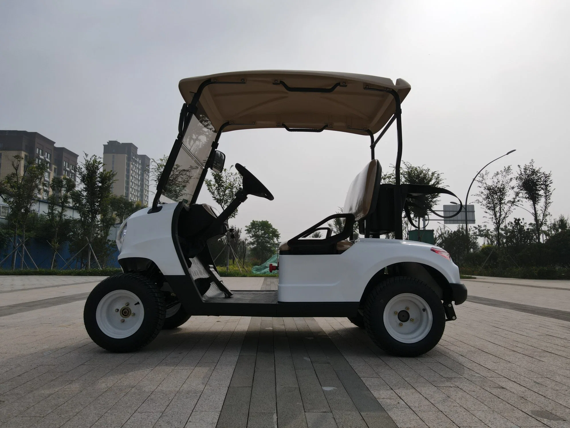 China Supplier High quality/High cost performance  2 4 6 8 Person Electric Golf Car for Sale