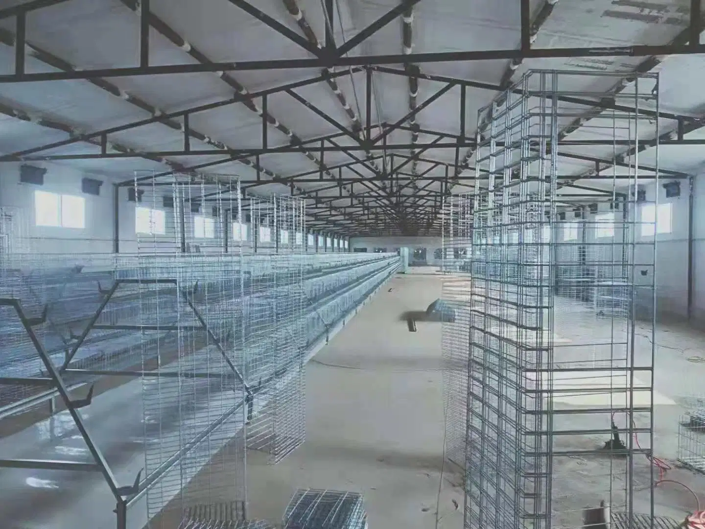 Una granja de aves de corral Tipo Galvanized capa de huevo poniendo la batería de pollo Sistema de jaula de la batería de la jaula de pollo de la capa de pollo de la batería de la jaula de aves Compartimento de la batería