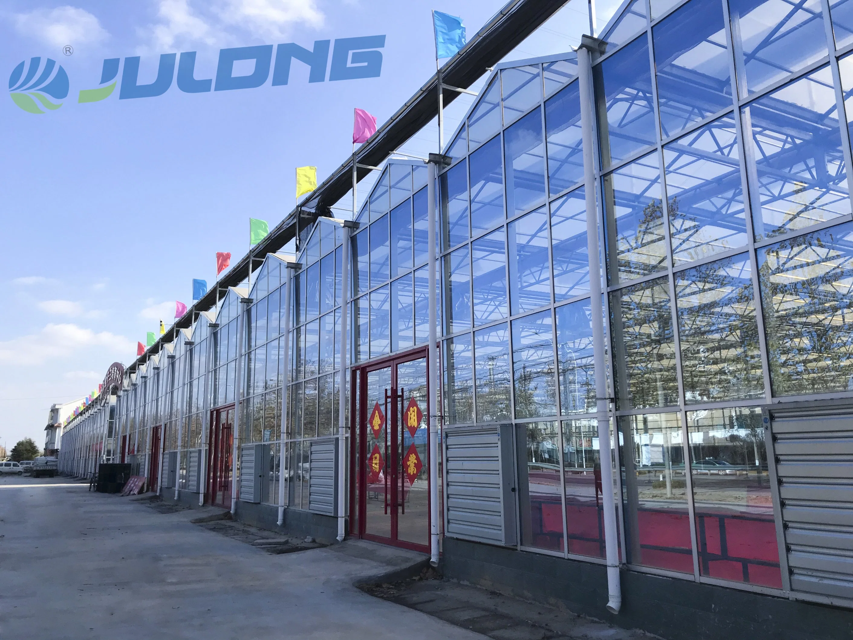 Venlo Polycarbonate Sheet Multi-Span Greenhouse with Tomato Hydroponics and Drip Irrigation