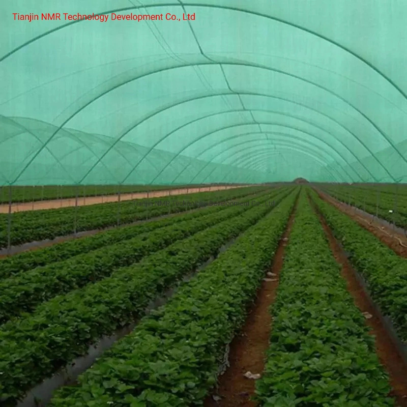 Single Agricultural Tunnel Greenhouse Sunshine Net Garden 70% Shade Cloth, Resistant Sun Shade Net 10X20FT Mesh Tarp with HDPE Material and Reinforced Grommets