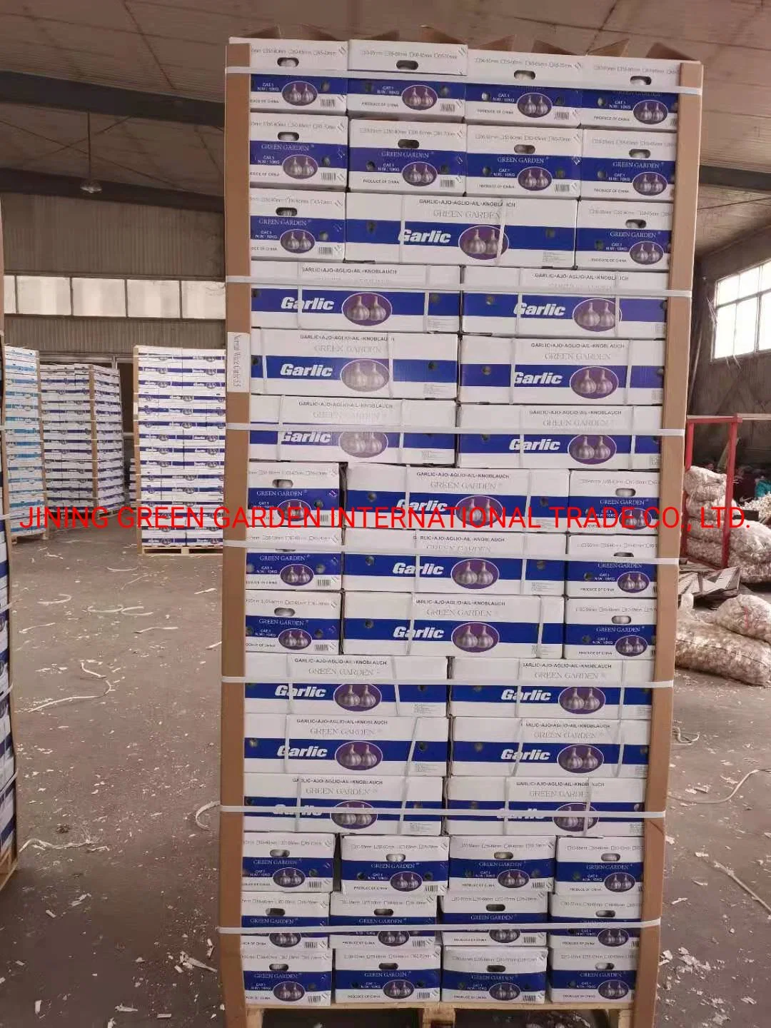 Chinese Best Wholesale/Supplier High quality/High cost performance  Fresh Garlic Price -New Crop