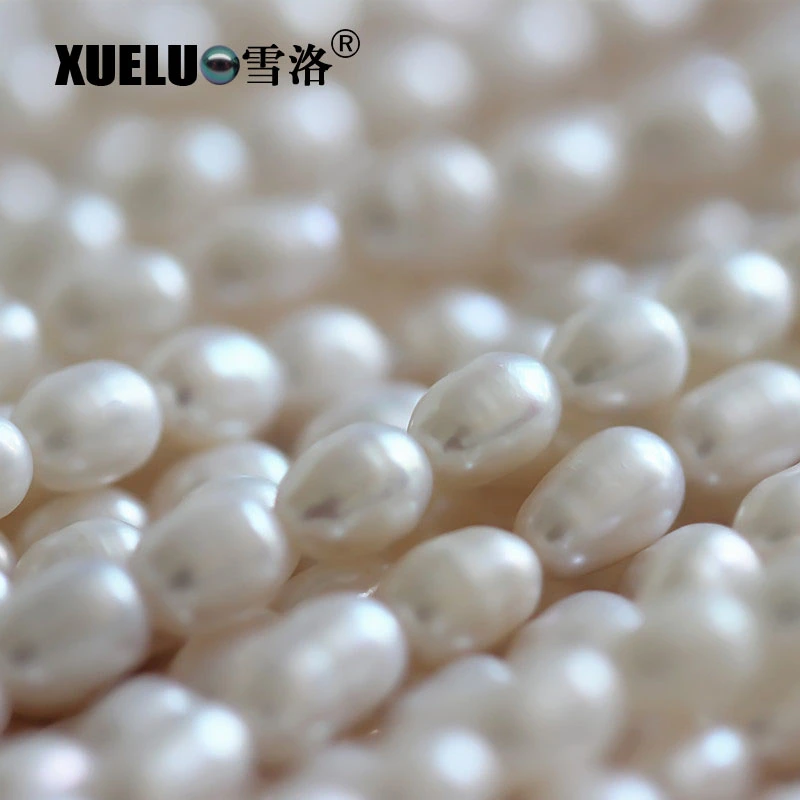 5-6mm Rice Shape Cheap Natural Cultured Freshwater Pearl String Wholesale/Supplier