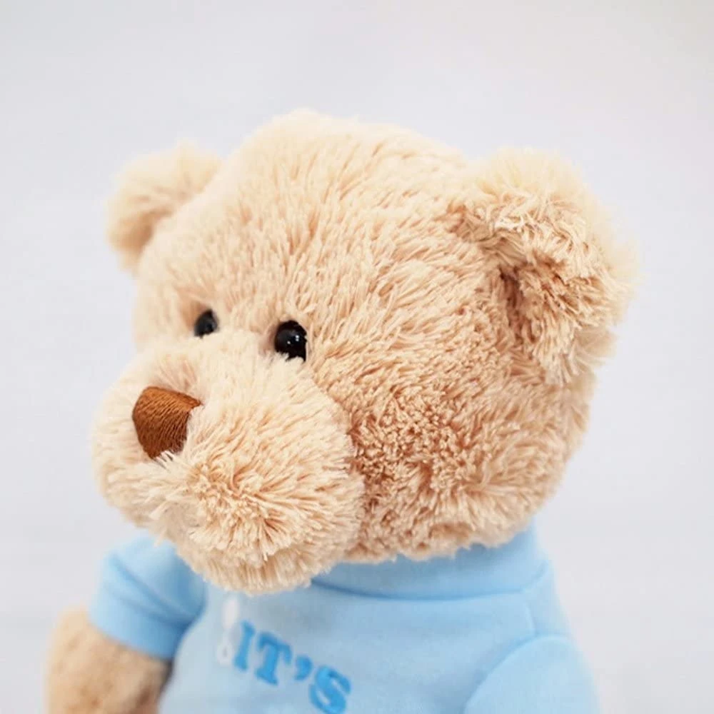 La promoción de felpa suave Osito de peluche personalizado mono de peluche juguete en la mascota del suéter niños Toy BSCI Sedex ISO9001