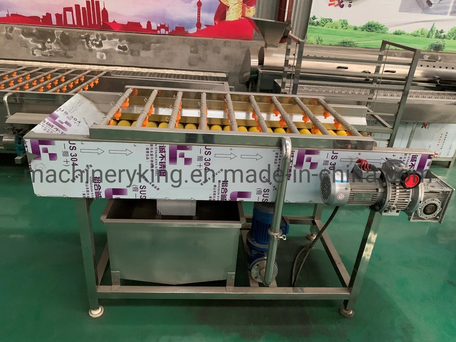 Brush Roller Vegetable Washer Washing and Cleaning Machine