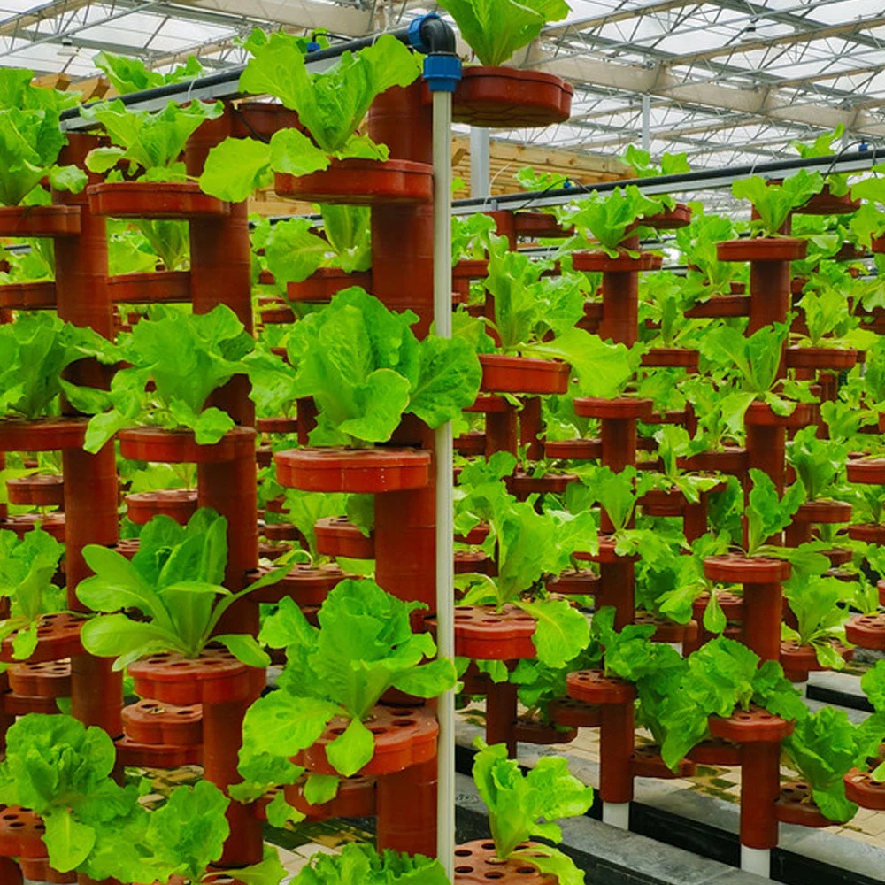 A Agricultura Vertical Farm Canal Nft Sistema de hidroponia para pescar Simbiose Vegetais Eco Estufa com ventilador de arrefecimento/aquecimento