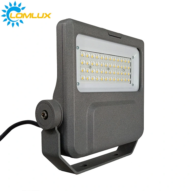 30W IP66 exterior CE LED lámpara de foco