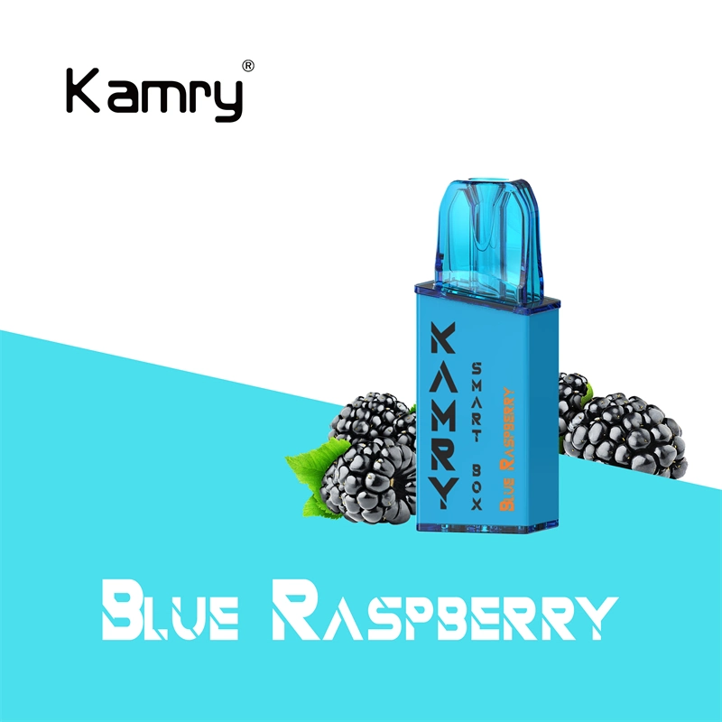 Kamry Smart Box Pod Disposable/Chargeable Vape Pen Super 600puff vape