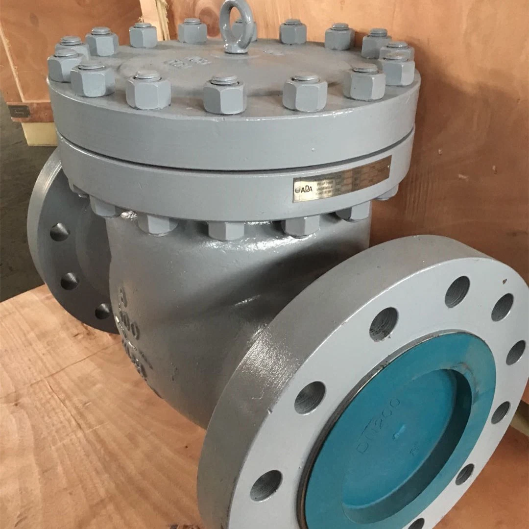 DIN Standard DN700 Pn25 Swing Check Valve Wcb Body