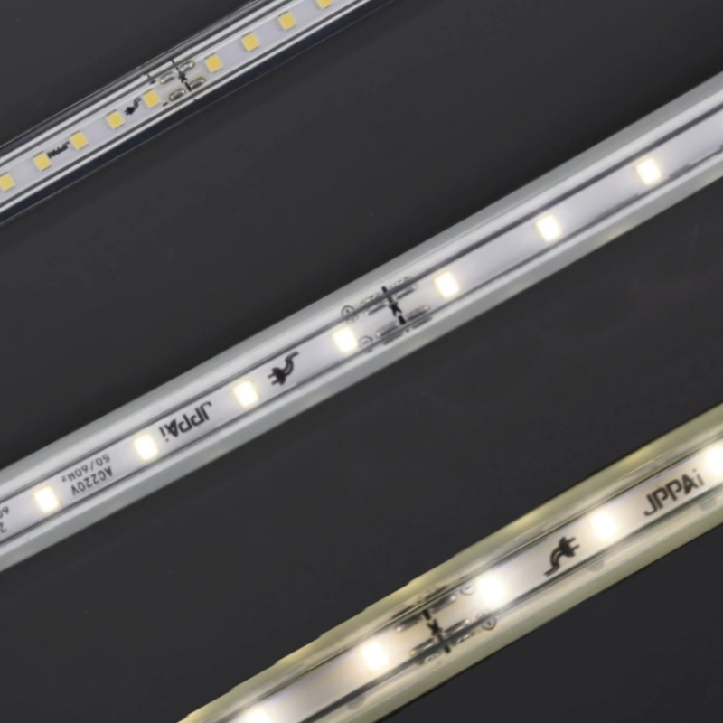 220V Strip SMD2835 60d Flex/Rope Light LED Strip Light