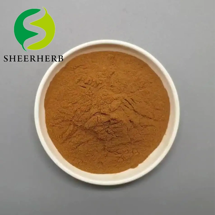 High quality/High cost performance Green Tea Extract EGCG Epigallocatechin Gallate 95% 98% 970-74-1
