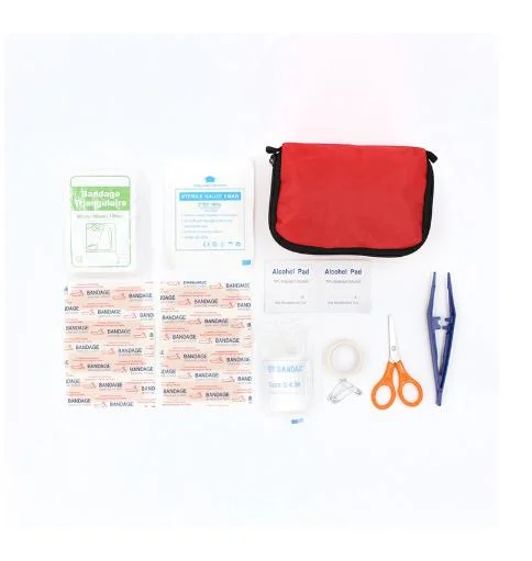 Factory Wholesale/Supplier Promotion Private Label Medical Waterproof Mini Travel Camping First Aid Kit