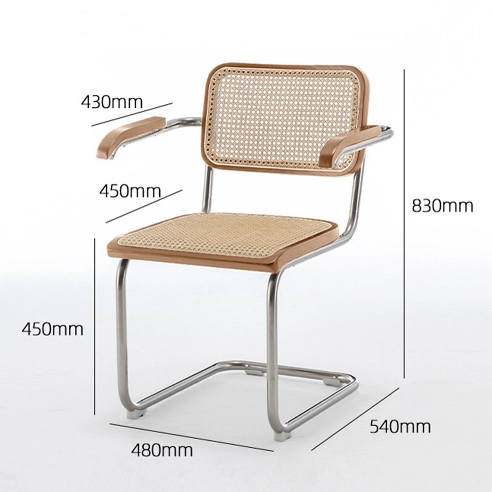 Modern Wicker Chairs Stainless Steel Bow Frame Rattan Chair for Leisure Room