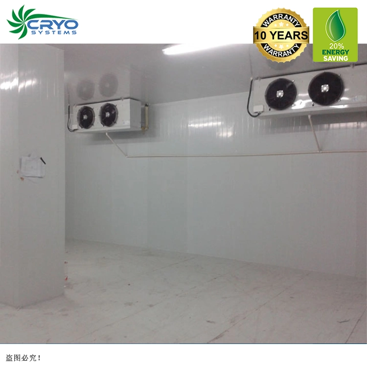 Frozen Salmon Heads Fresh Chicken Table Eggs Cold Rooms Guangzhou Ice Cream Cold Storage Room Cold Storage System