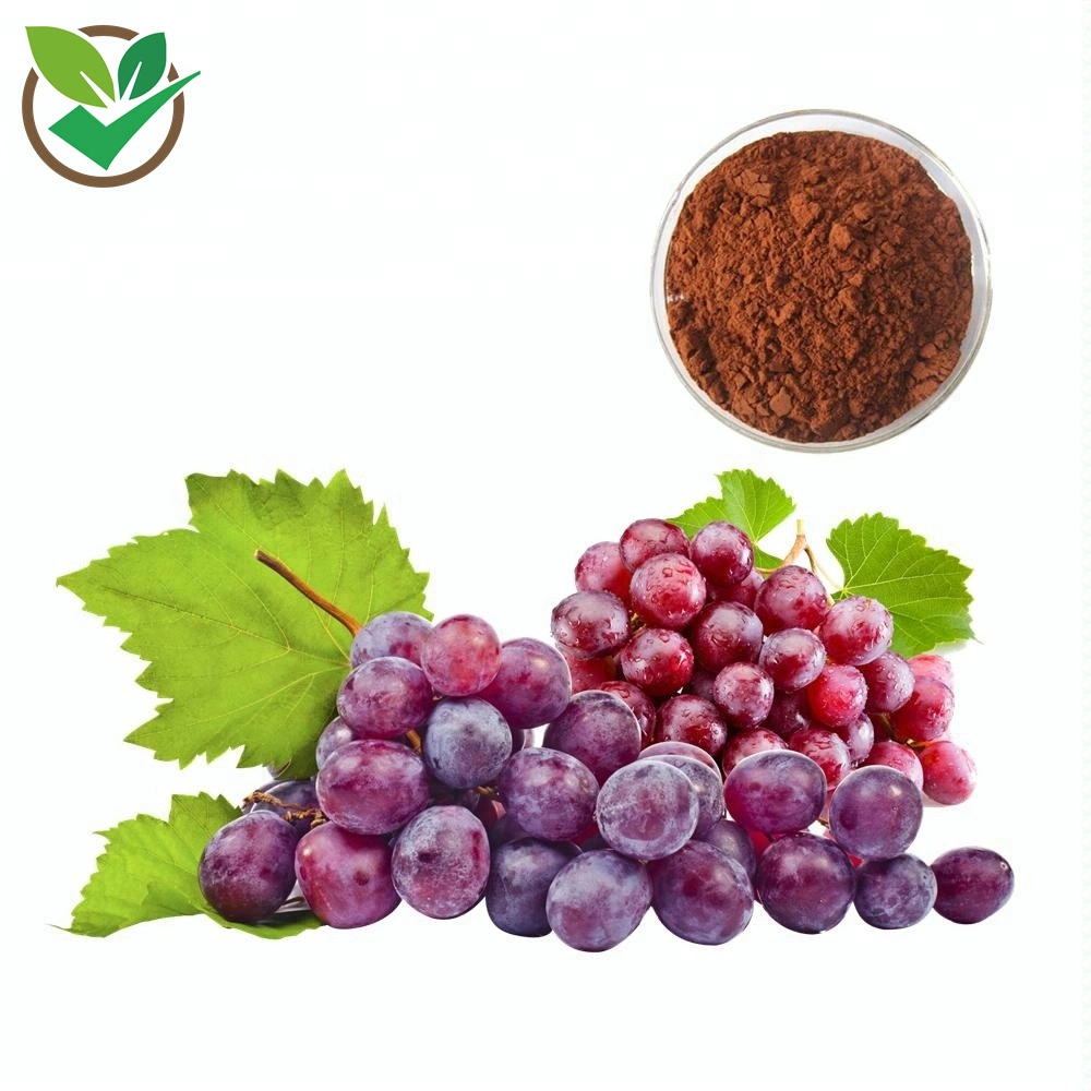 Natural Antioxidant Polyphenols Grape Skin Extract Powder 5% Polyphenols