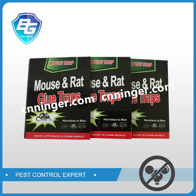 Powerful Insect Killer Rat Mouse Killer Glue Board Trap