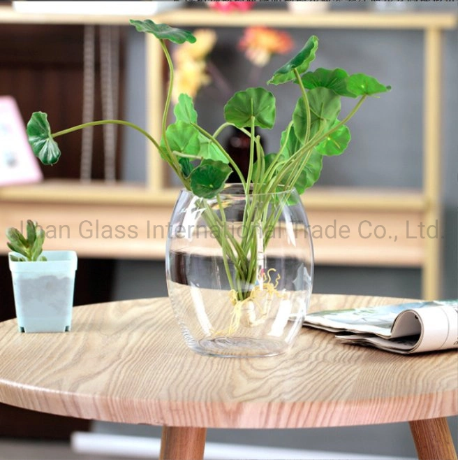 Hydroponic Plant Glass Bottle Transparent Glass Vase Container Green Pineapple Flowerpot Spherical Fish Tank