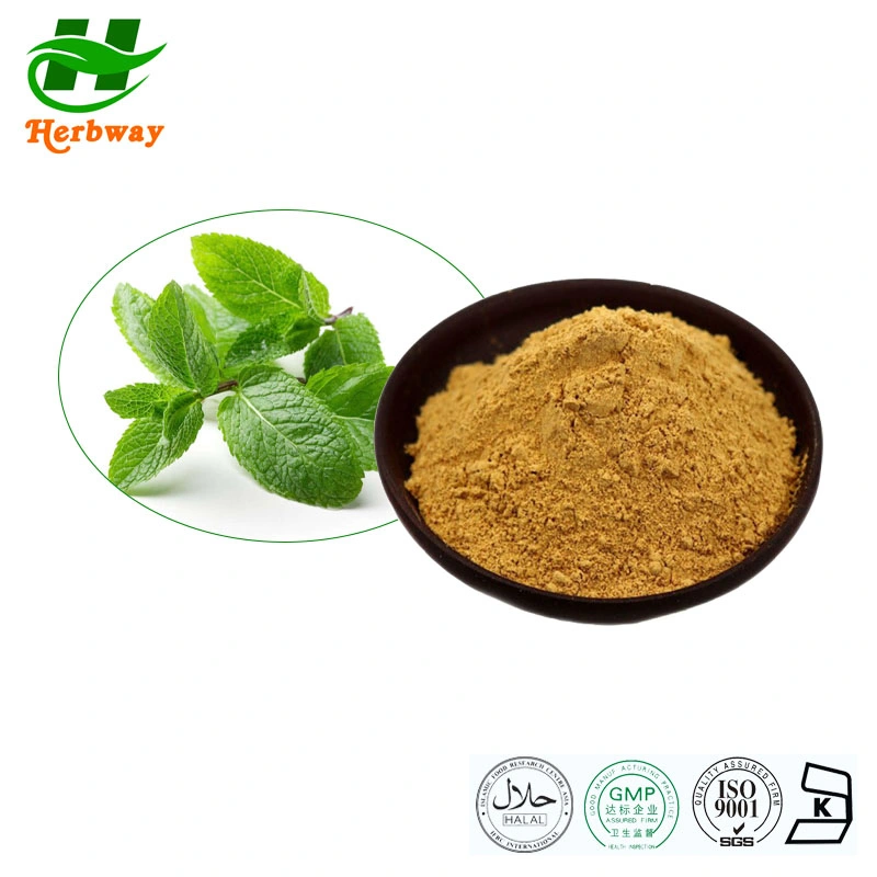 Plant Extract Wholesale/Supplier Price Food Grade Herba Menthae Heplocalycis Menthol Powder Peppermint Extract