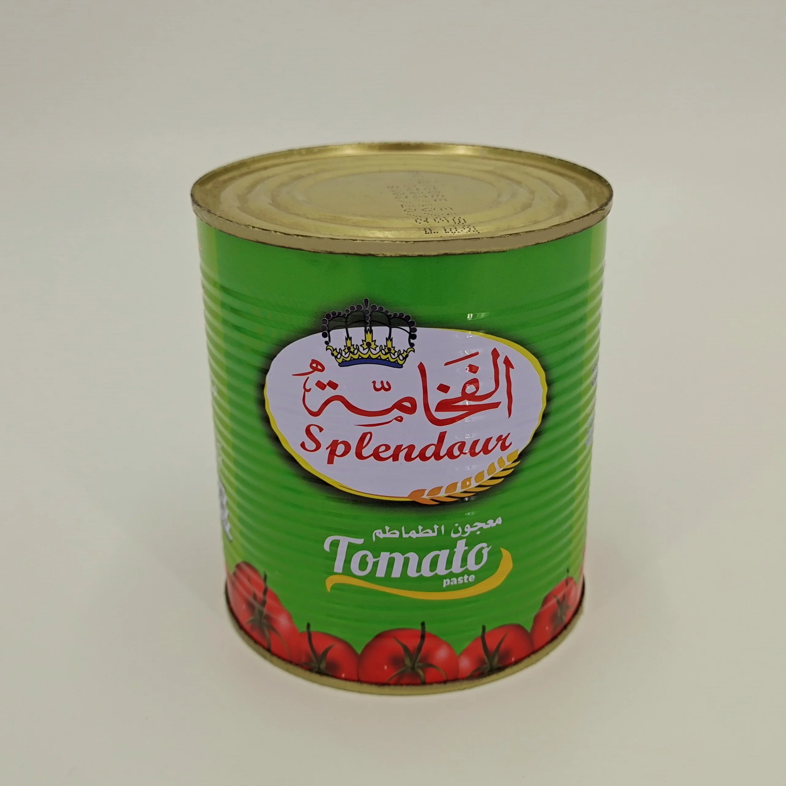 New Arrival Canned Mackerel in Tomato Sauce 425g with Best Price