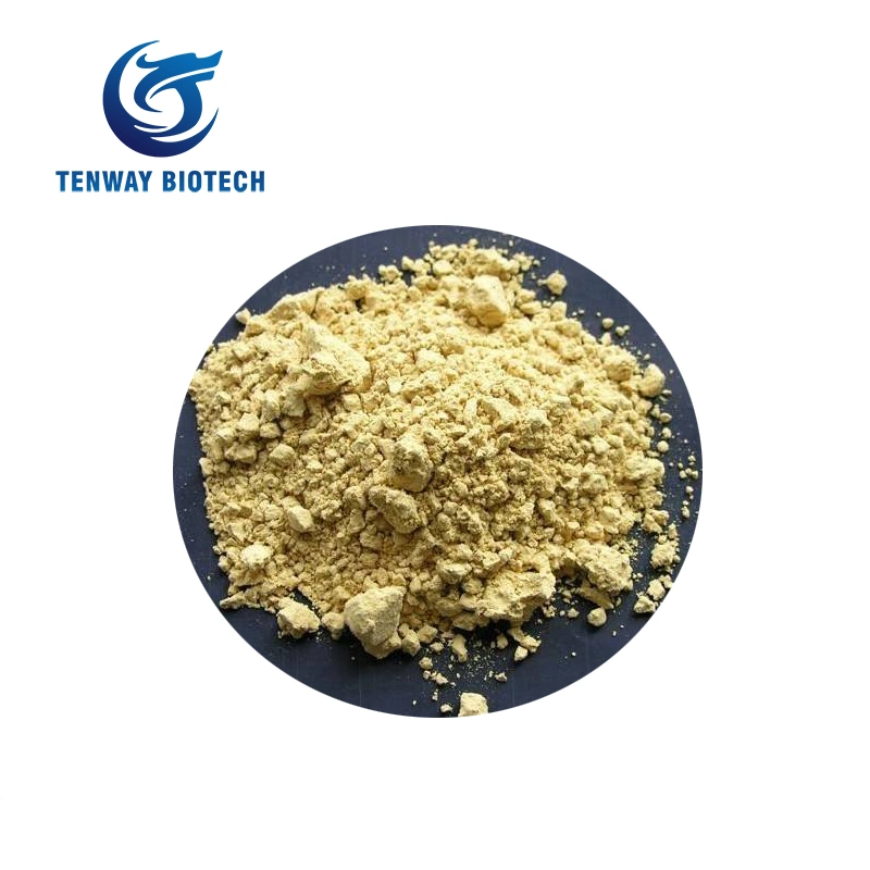 Food Ingredient/ Food Condiment & Seasoning Hydrolyzed Vegetable Protein Hvp Powder for Food Meat Products