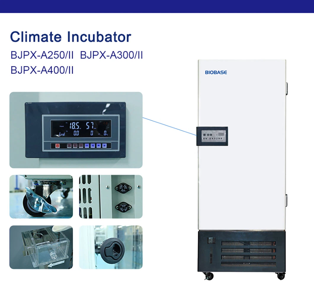 Biobase Climate Incubator Bjpx-A250/II for Lab and Industry