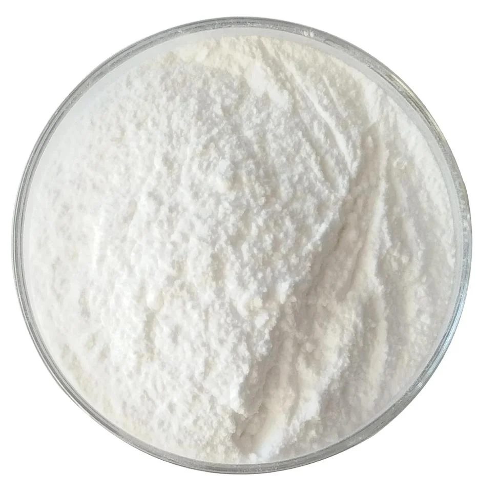 CAS 6020-87-7 Nutritional Supplements High-Quality Powder Creatine Monohydrate