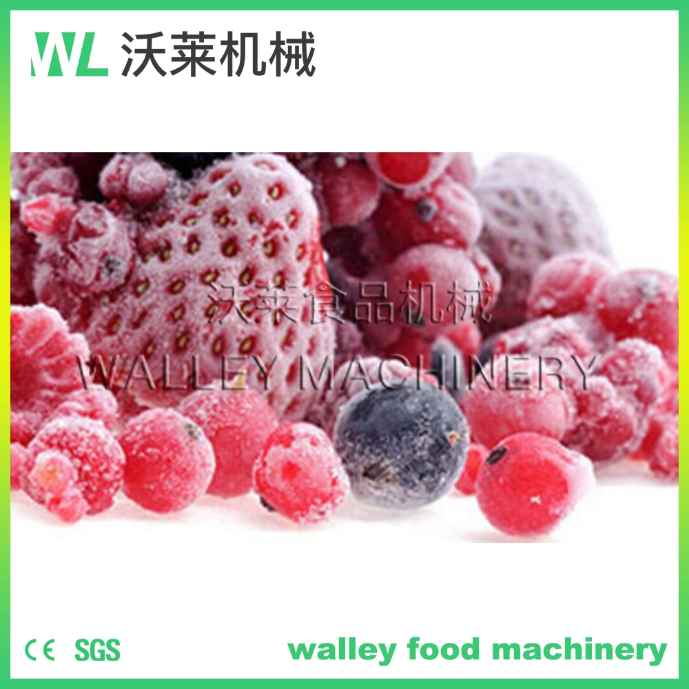 4000kg Stainless Steel Quick Freezer IQF Machine for Berries and Fruits