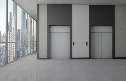 Hongmen High-End Elegant Passenger Elevator Without Machine Room