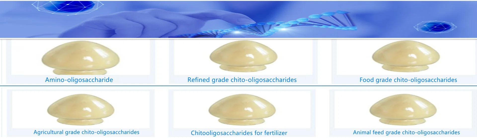 Food Grade Chitooligosaccharide