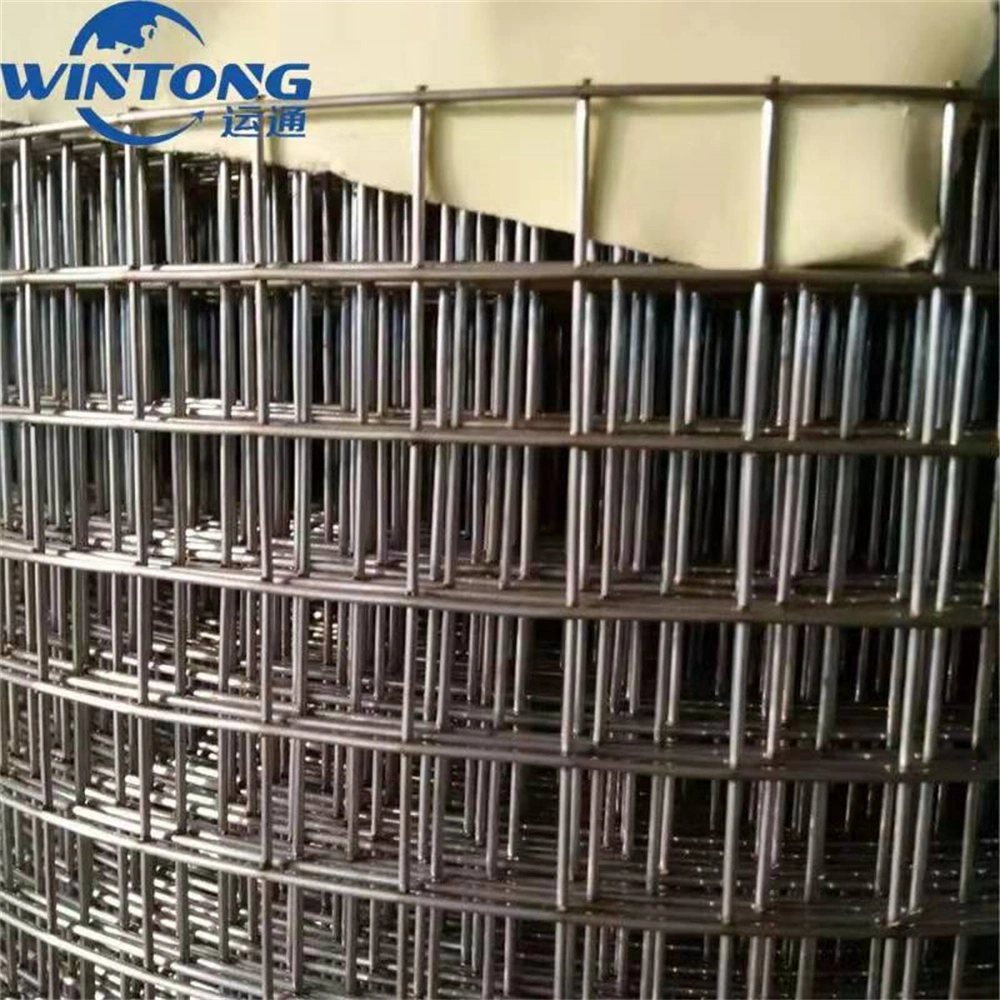 Galvanized / Manufacturer / Agricultural Protection /0.3-0.6mm Small Wire Diameter / Welded Wire Mesh