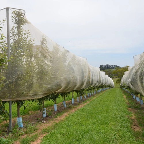 Agrícolas blanca insectos Net con UV Anti trata de gases de efecto