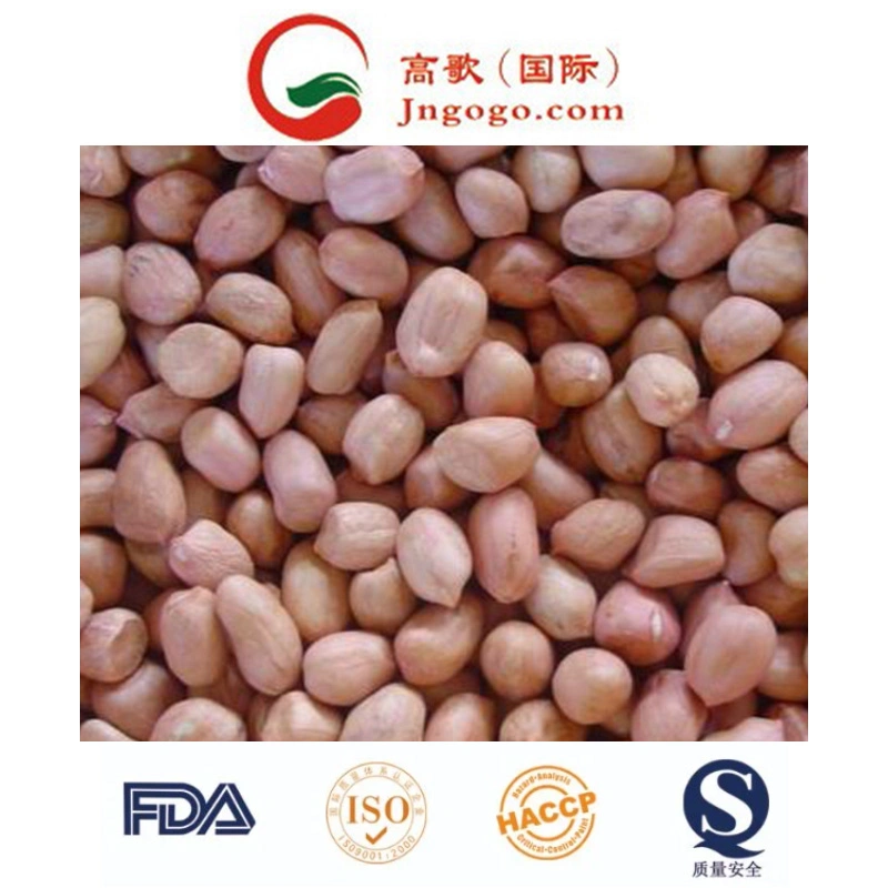 High Quality Red Skin Peanut Kernel