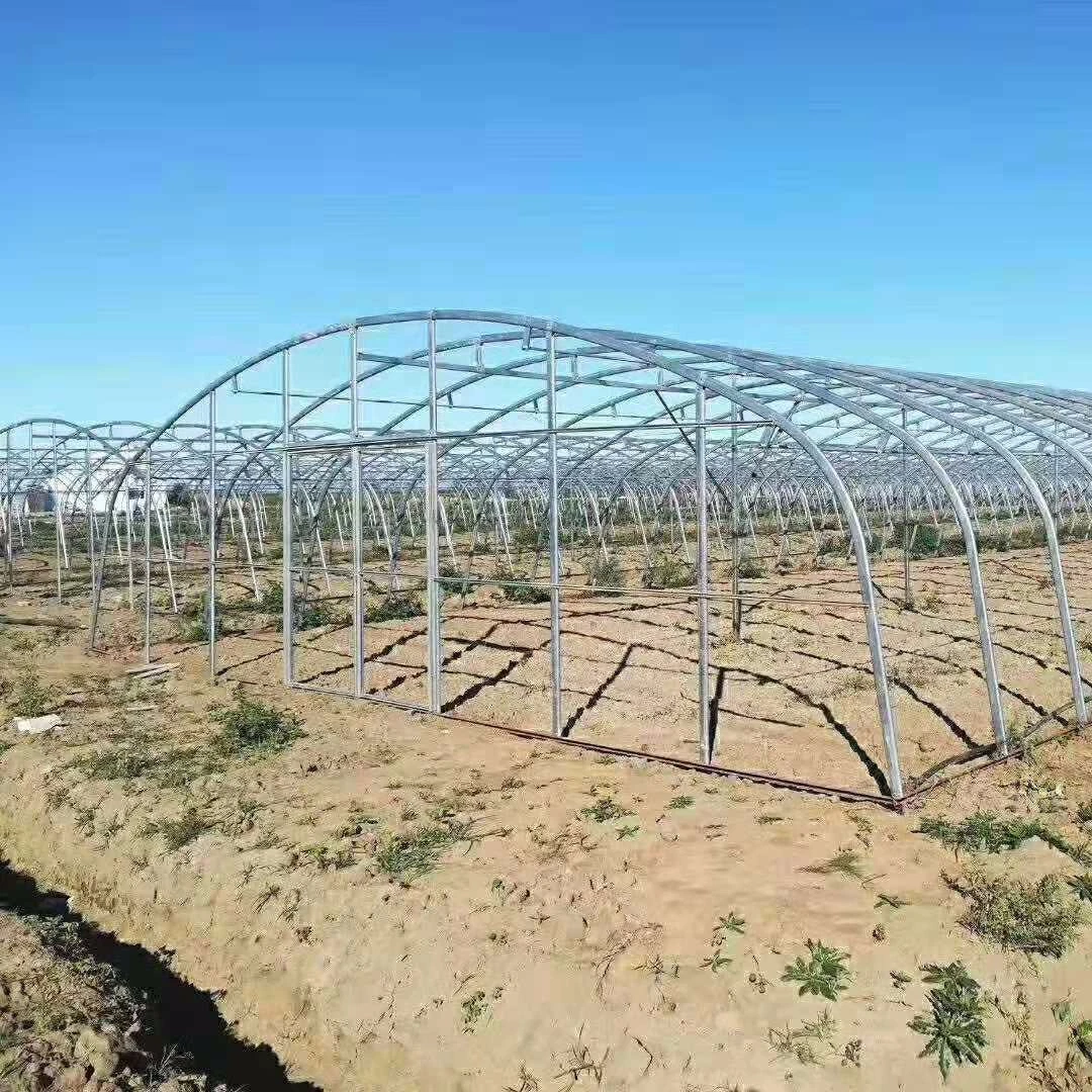 4-8m Wide Cheap Ang Pretty Good Single Span Agriculture Strawberry Film Greenhouse