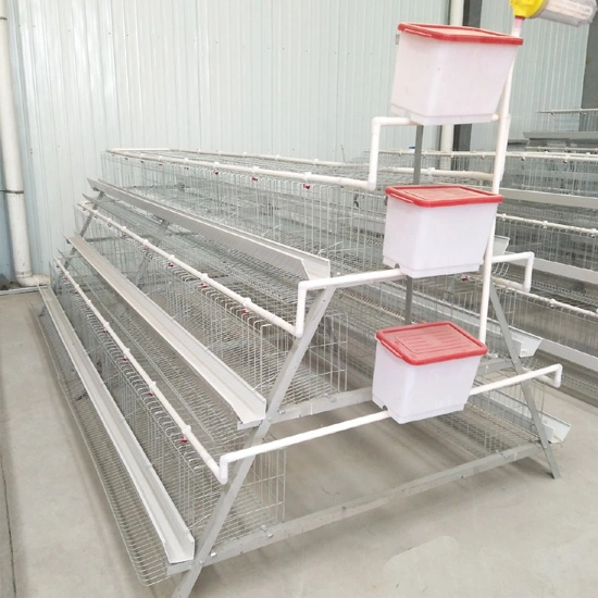Poultry Farm Equipment a Type Chicken Cages