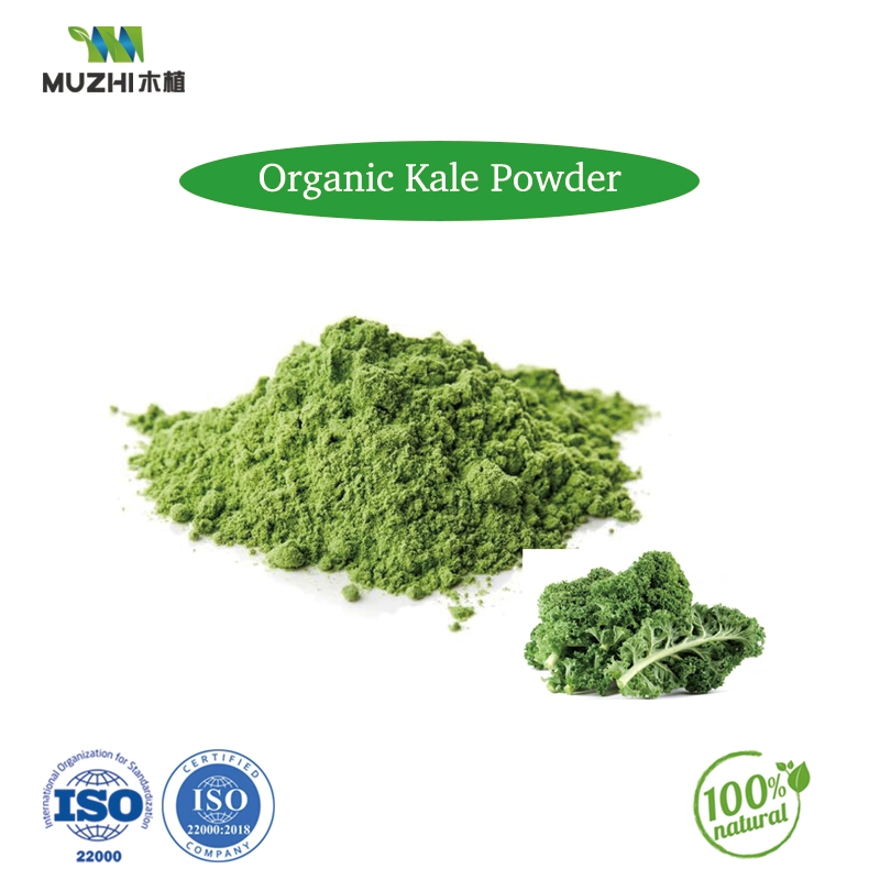 100% Natural Bulk Fruit & Vegetable Juice Powder Fruit and Vegetable Powder