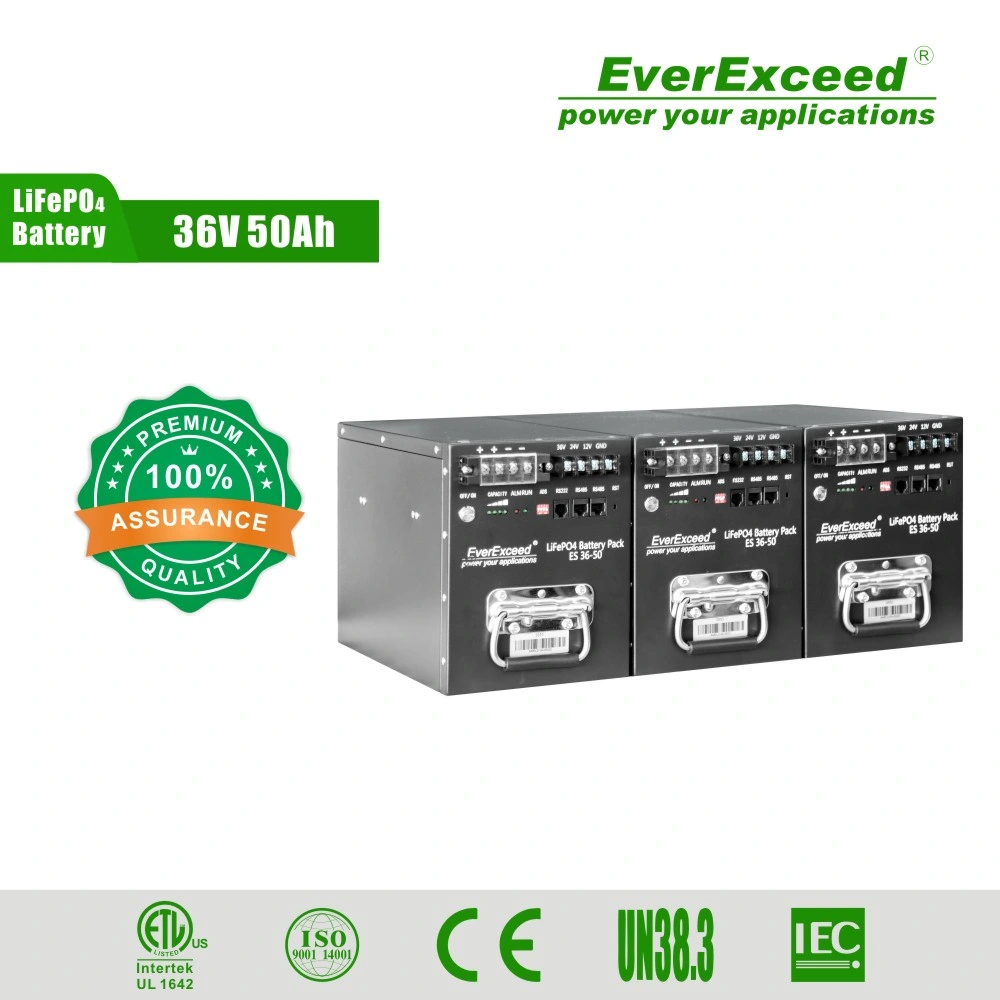Everexceed Rechargeable Lithium Ion UPS LiFePO4 38.4V 50ah Li-ion Battery with Long Cycle Span for CATV