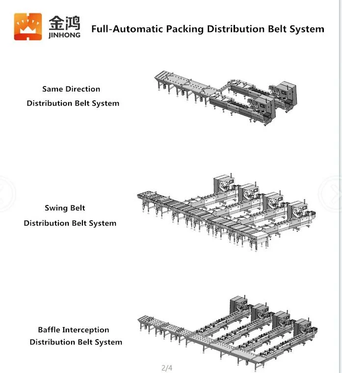 Fully Automatic Distribution Belt System with Flow Packing Machine