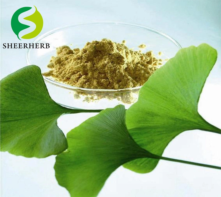 Фабричная горячая продажа оптовой оптовой цены натуральный Ginkgo biloba Extract Powder 24% флавлоидный порошок