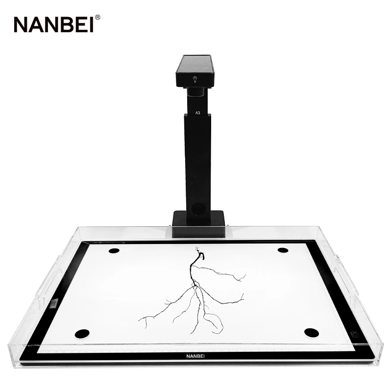 Measurement and Analysis of Plant Root Phenotype