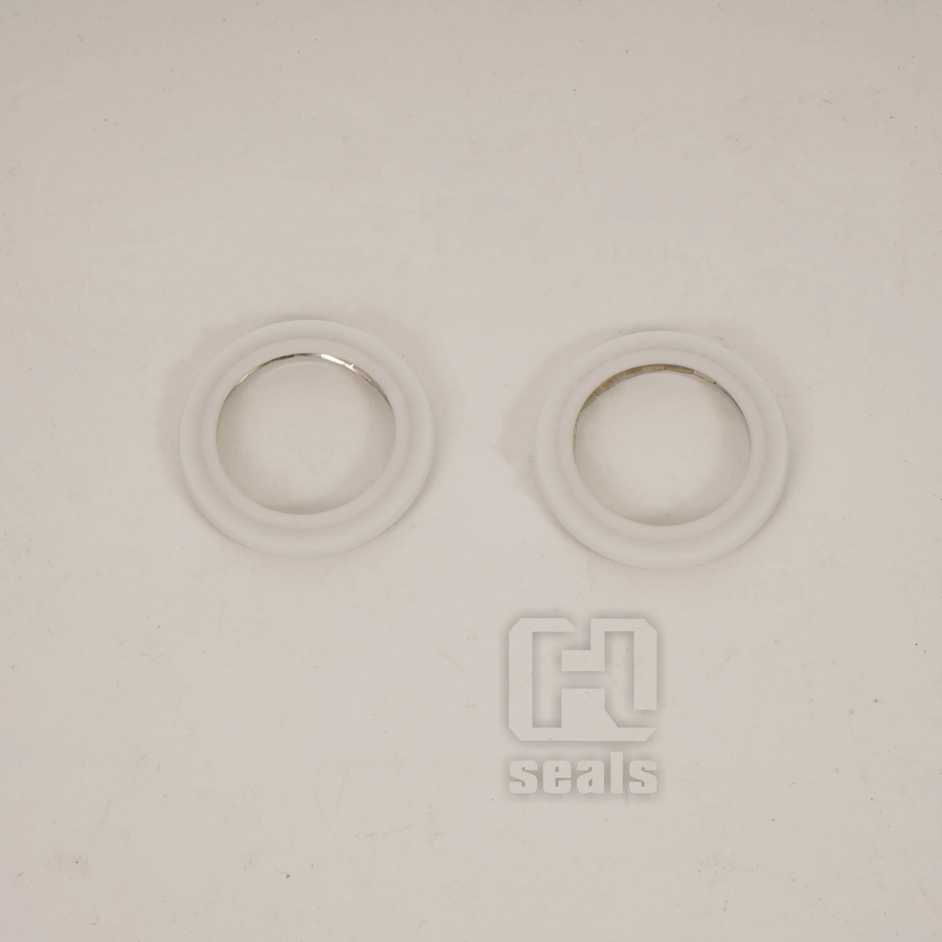 Axial Seals Single Helical Spring Lip Seals Rings Internal Pressure Seals, PTFE Spring Seals