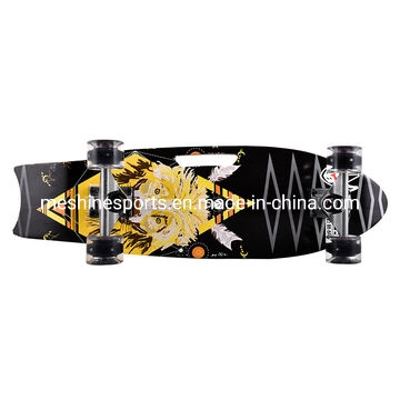 Dancing Skateboard Complete Skateboard for Beginner Birthday Gift for Kids