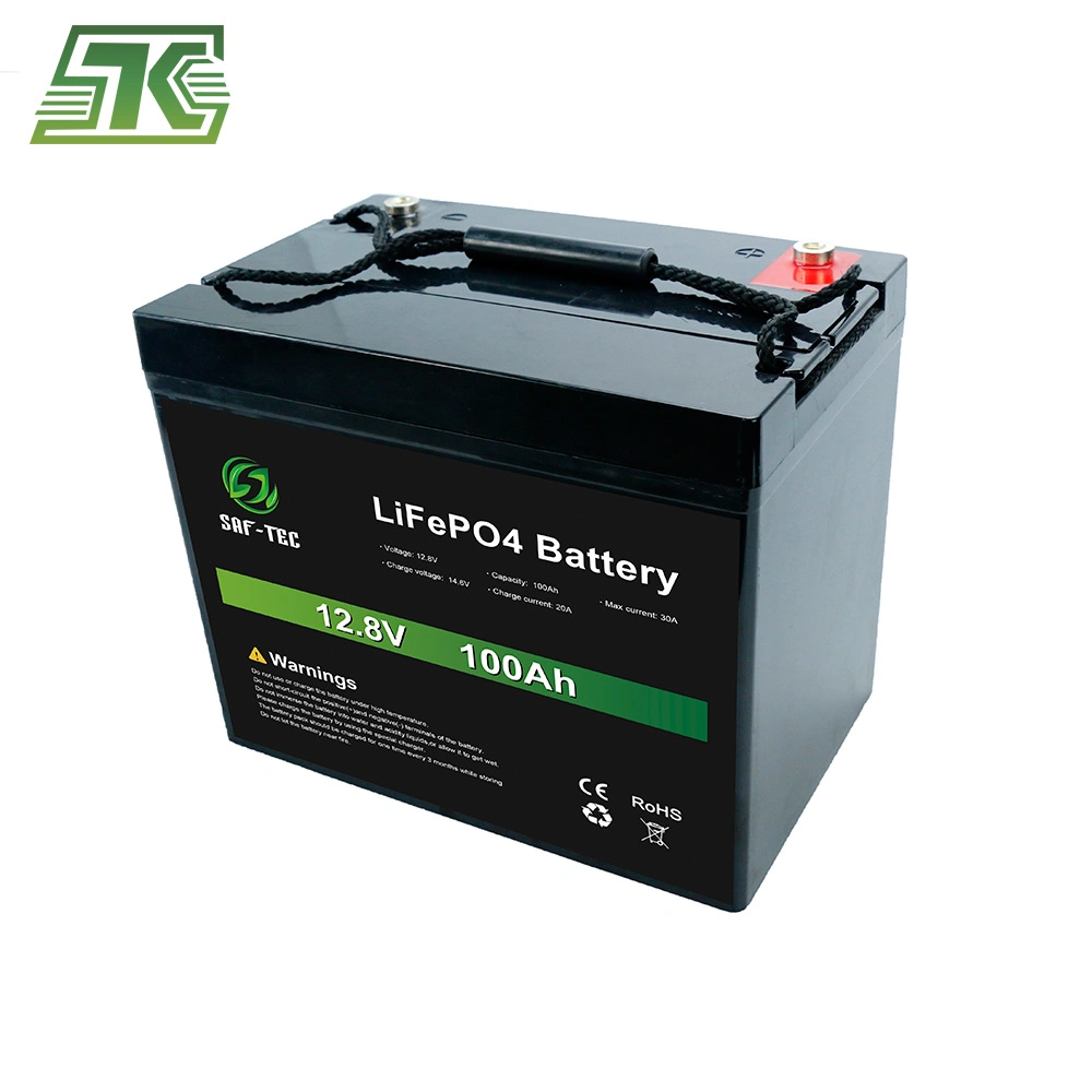 12V 24V 48V 50ah 100ah 120ah 150ah 200ah 300ah LiFePO4 Seftec Deep Cycle Solar Energy Storage Lithium UPS Lithium Ion Battery