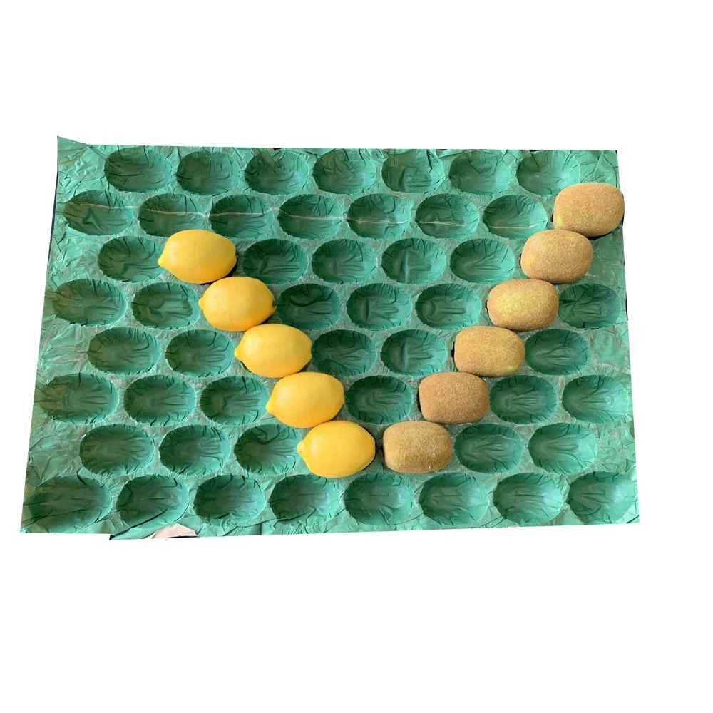 Eco- Friendly Disposable Kiwi Peach Paper Packaging Tray Liner